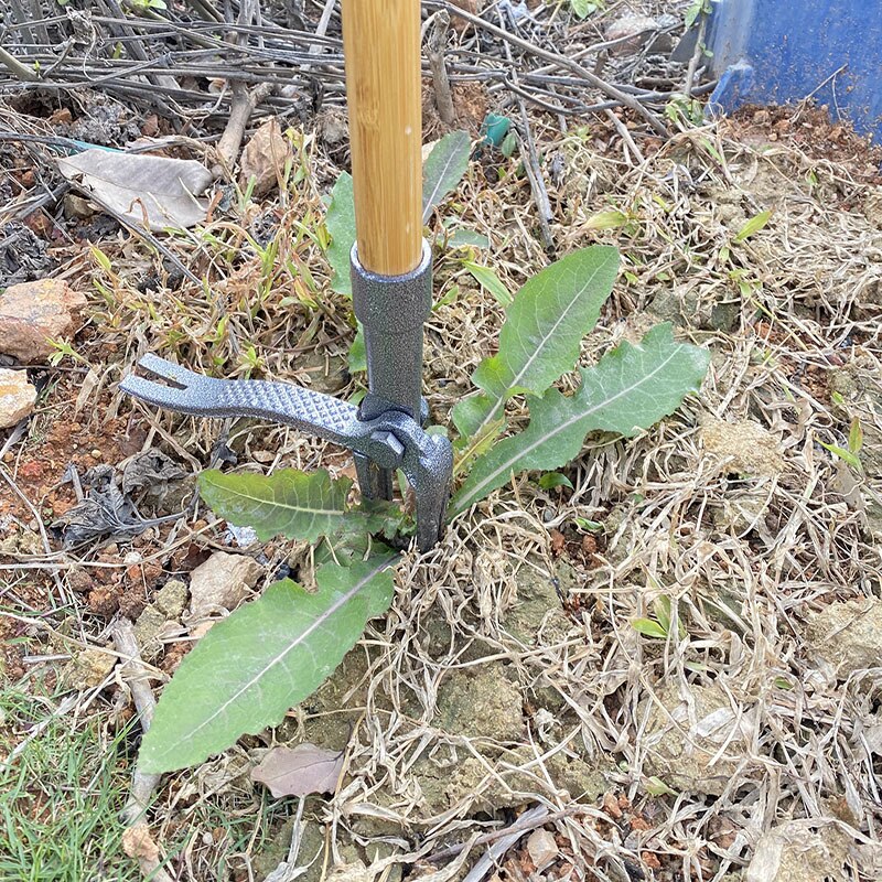 WeedIron - Detachable Weed Puller - Panarj