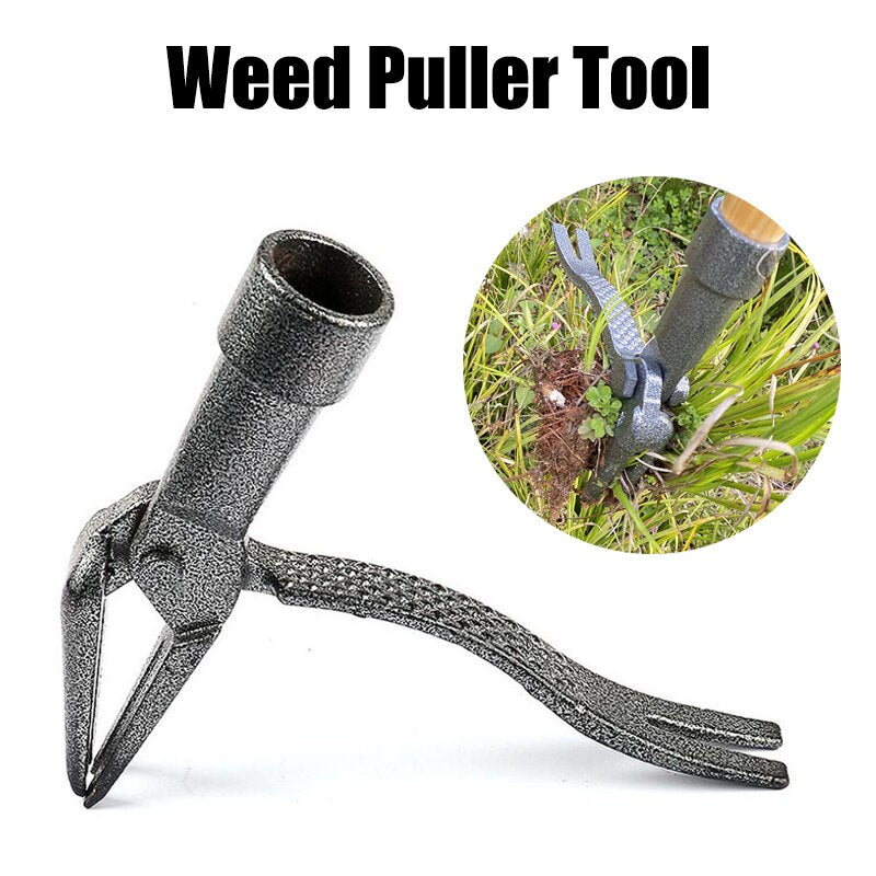 WeedIron - Detachable Weed Puller - Panarj