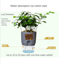 SmartPlanter - Self Watering Pot - Panarj